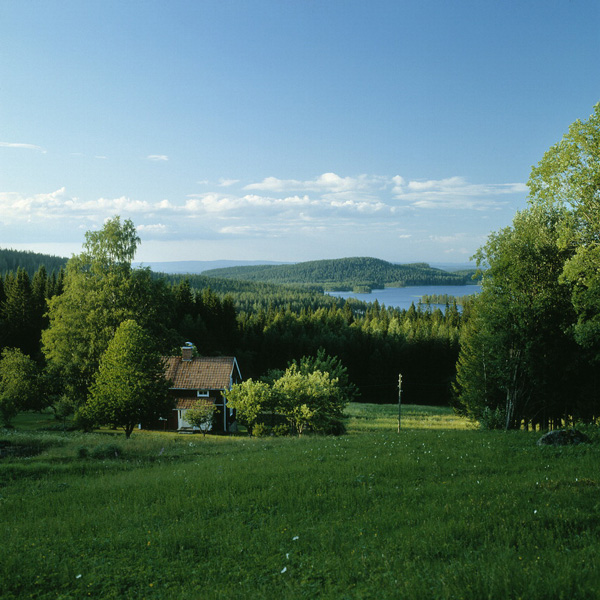 Immerasen, Halsingland, Central Sweden, Sweden Photo