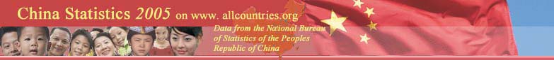 China Statistics Banner