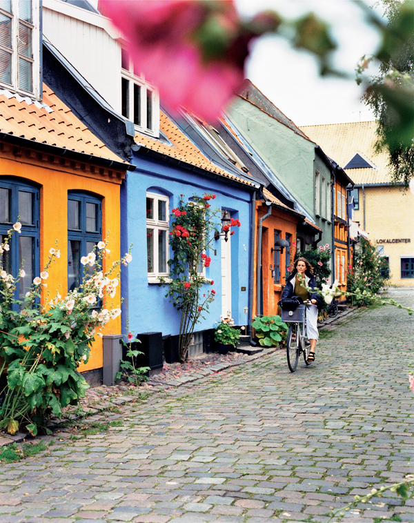 Mollestien Lane, Aarhus, East Jutland, Denmark photo
