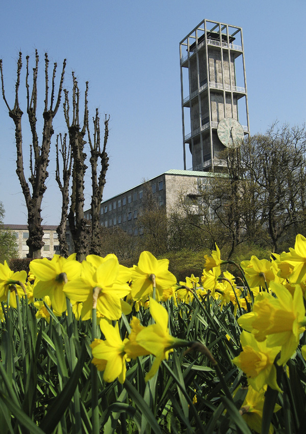 Spring by the City Hall in Aarhus, East Jutland, Denmark photo