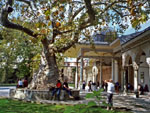 Topkapi palace courtyard, Istanbul, Turkey photo